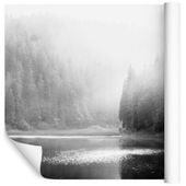 Fototapeta Las we Mgle Jezioro do Salonu 3D 90x60