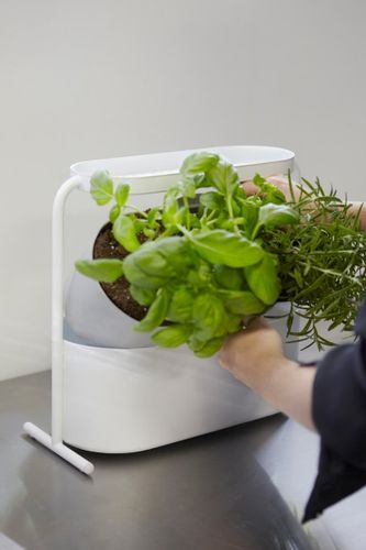 Doniczka Giardino MICROUSBCABLE1 na Arena.pl