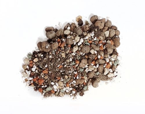 BIGOS do KAKTUSÓW i SUKULENTÓW 5L ziemia podłoże Botanic Soil na Arena.pl