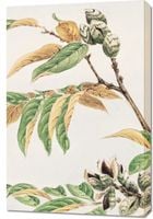 Obraz 60x90cm Shi, Morikaga Japoński Vintage do Salonu
