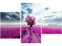 OBRAZ FIELD&TREE POLE DRZEWO KOLORY