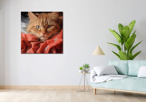 Obraz 90x90cm Mruczący Spokój na Arena.pl