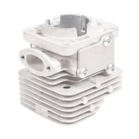 Cylinder CEDRUS dmuchawa DM02