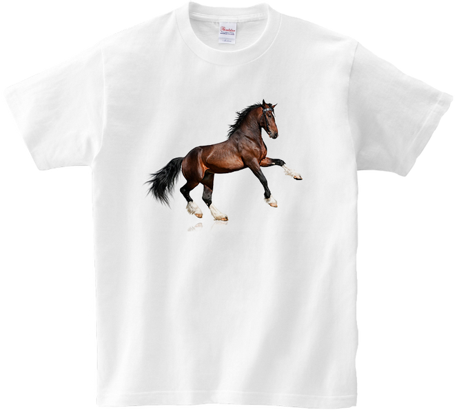 Koszulka T-shirt Konie zdjęcie 1