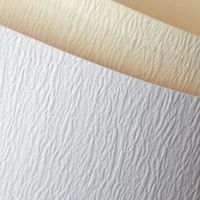 KARTON OZDOBNY ATLANTA BIAŁY 230G/M2 (20) 4665