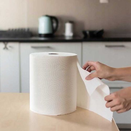 Ręcznik papierowy 1R SŁONIK JUMBO MAXI 300 list 2W - 4 szt. na Arena.pl