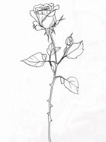 product-compare-59415406