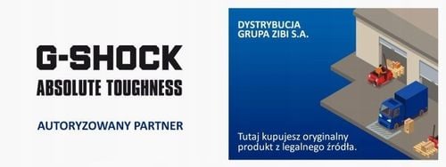 Zegarek męski Casio G-SHOCK Classic Casio-GA-100GGB-1A9ER na Arena.pl