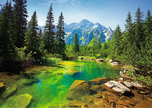 Puzzle Widok na Tatry 500 elementów Trefl na Arena.pl