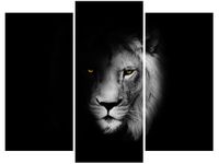 OBRAZ DUCH MROK LEW CIEŃ CZARNO-BIAŁY