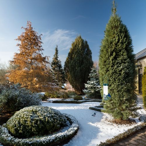 KARMNIK DLA PTAKÓW PRZEZROCZYSTY Z PODNÓŻKIEM na karmę Z DASZKIEM ZIARNA na Arena.pl