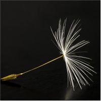 50CM 50CM OBRAZ DMUCHAWCE LATAWCE DRUK PŁÓTNO