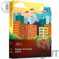 Animate 2019 - Licencja Wieczysta (LifeTime) - Windows - Użytkownik Indywidualny - BOX (USB)