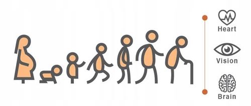 Aliness Vegan Omega 3 DHA 250 mg ZDROWE TŁUSZCZE WIDZENIE PRACA MÓZGU 60kap na Arena.pl