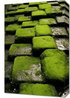 Obraz 40x60cm Zielona Mozaika
