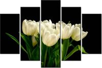 product-compare-58696355