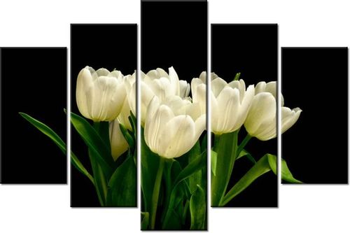 100CM 150CM OBRAZ 5 ELEM BIAŁE TULIPANY MARK FREETH ŚCIENNY na Arena.pl