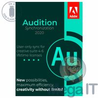 Synchronizacja Audition 2020 - Licencja Wieczysta (LifeTime) - Windows - Użytkownik Indywidualny - BOX (USB)
