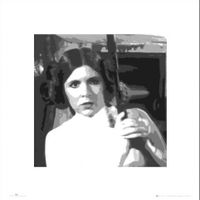 Gwiezdne Wojny Star Wars leia - plakat premium 40x40 cm