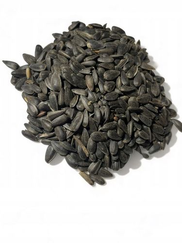 Czarny Słonecznik Ziarna Karma PREMIUM Dla Ptaków I Gołębi 10 kg na Arena.pl