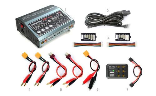 Ładowarka SkyRC D250 na Arena.pl
