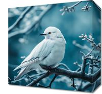 product-compare-59492822