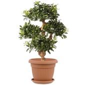 Donica okrągła 55 cm + podstawka Terrakota