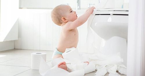 Eco Papier toaletowy Torro celuloza 2warstwowy Gruby, Biały,18mb! na Arena.pl