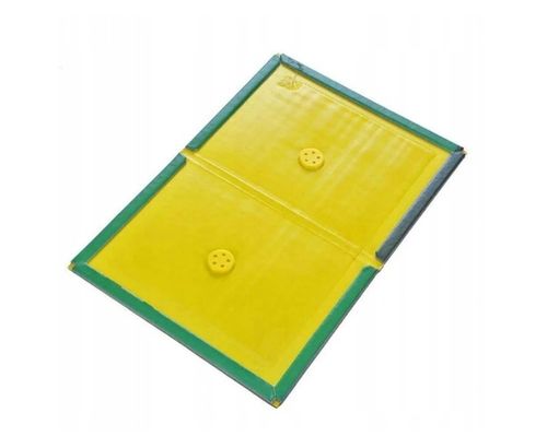 50x LEP na myszy SZCZURY silna pułapka MOCNY KLEJ Aromat MYSZOŁAPKA na Arena.pl