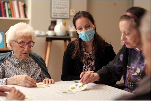 Gra Dobble Access+ na Arena.pl