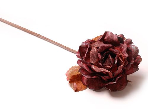 Róża zimowa brązowa na Arena.pl