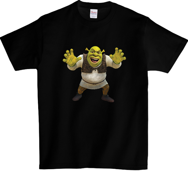 Koszulka T-shirt Shrek zdjęcie 1