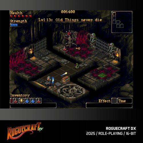 Gra Evercade Rougecraft DX na Arena.pl