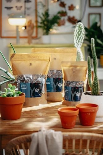 Ziemia do SUKULENTÓW i KAKTUSÓW 3L bigos, podłoże na Arena.pl