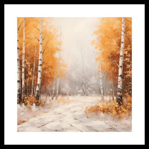 Plakat 40x40cm Jesienne Brzozy na Arena.pl