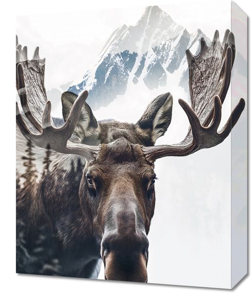 Obraz 40x50cm Łoś Duch Lasu zdjęcie 1