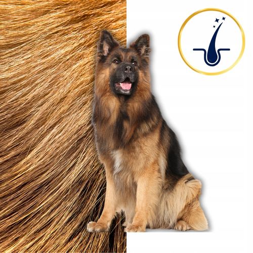 SUCHA KARMA DLA PSA POLARIS ADULT BEZ ZBÓŻ WOŁOWINA INDYK 12KG ŚWIEŻE MIĘSO na Arena.pl