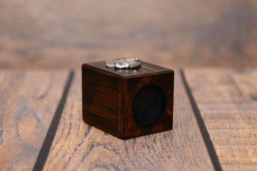 Border Terier - świecznik - 3975 na Arena.pl