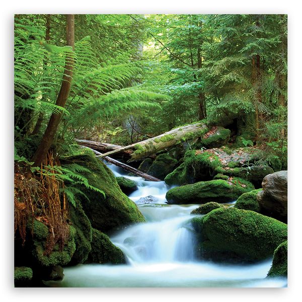 OBRAZ NA PŁÓTNIE DO SALONU Las Góry Potok zdjęcie 3