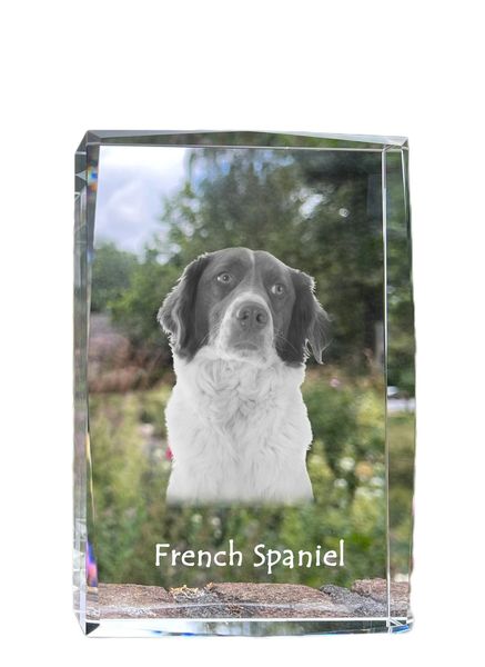 Spaniel francuski kryształ z psem Art-Dog zdjęcie 1