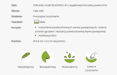 Wałek do masażu Blackroll Twin na Arena.pl