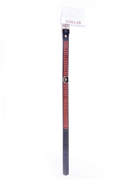 Fetish B - Series Collar With Crystals 2 Cm Red Line zdjęcie 4