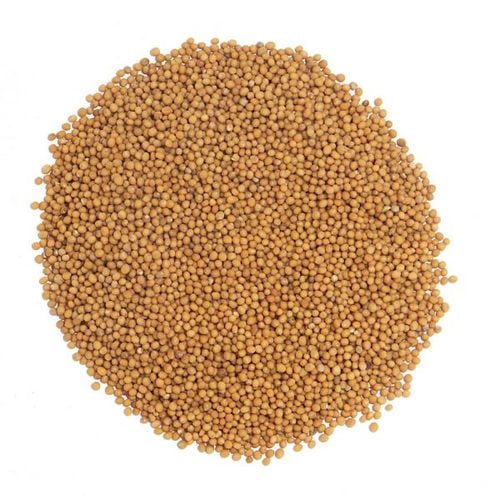 Gorczyca biała nasiona 1 kg na Arena.pl