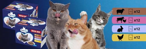 MOKRA KARMA DLA KOTA MIX SMAKÓW MEGA BOX SASZETKI W SOSIE 48X100G PREVITAL na Arena.pl