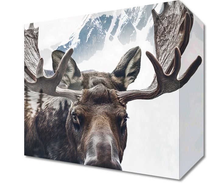 Obraz 20x20cm Łoś Duch Lasu zdjęcie 1