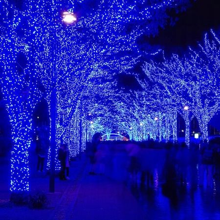 LAMPKI CHOINKOWE 500LED NIEBIESKIE + FLASH FLESZ BŁYSK 35M ZEW/WEW ISKRZĄCE na Arena.pl