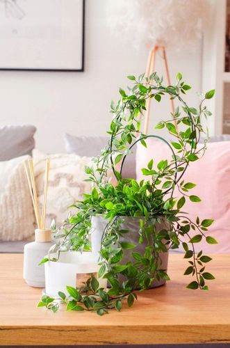 Podpora do kwiatów doniczkowych drabinka tyczka palik 3szt zielona storczyk na Arena.pl