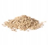SŁONECZNIK ŁUSKANY 25 KG 25000 G PESTKI NATURALNE ZIARNO JAKOŚĆ PREMIUM
