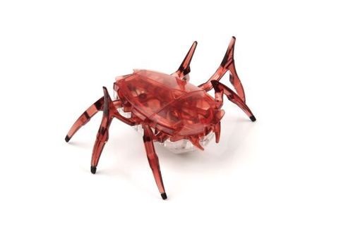 HEXBUG Skarabeusz na Arena.pl