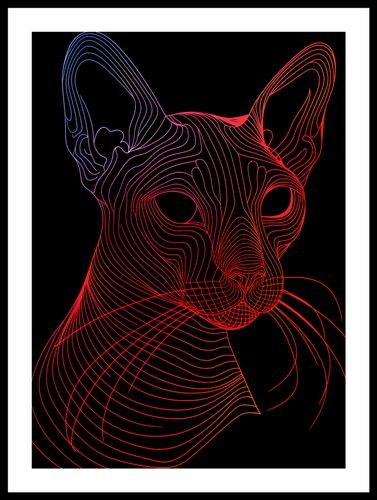 Plakat 39,5x55cm Cyfrowa Kocica na Arena.pl